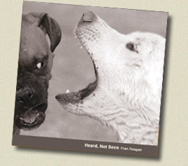 Heard, Not Seen CD cover